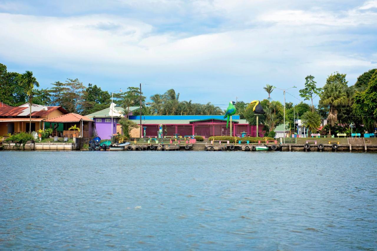 The Corner House Apartamento Tortuguero Exterior foto
